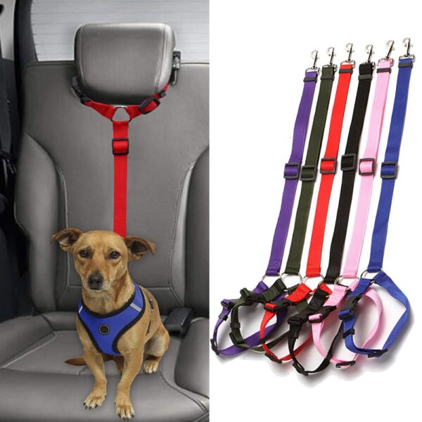 car pet seat belt